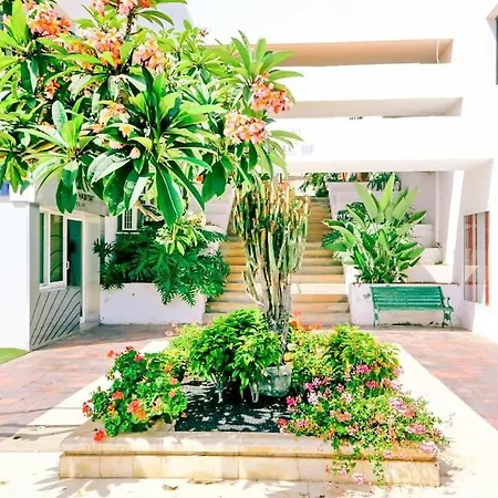 215 Azahara By Tenerife & Sales